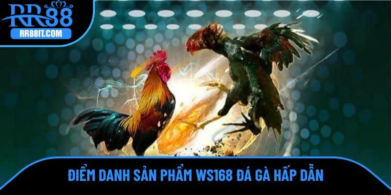 Điểm danh sản phẩm WS168 Đá gà hấp dẫn